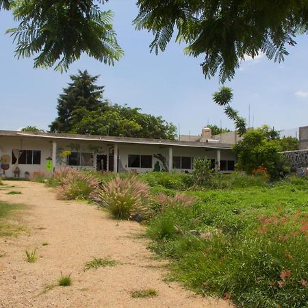 Casa De Huespedes Colmena Hotell Tlayacapan Exteriör bild
